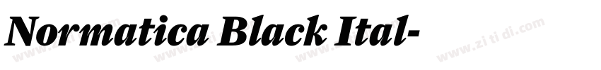 Normatica Black Ital字体转换